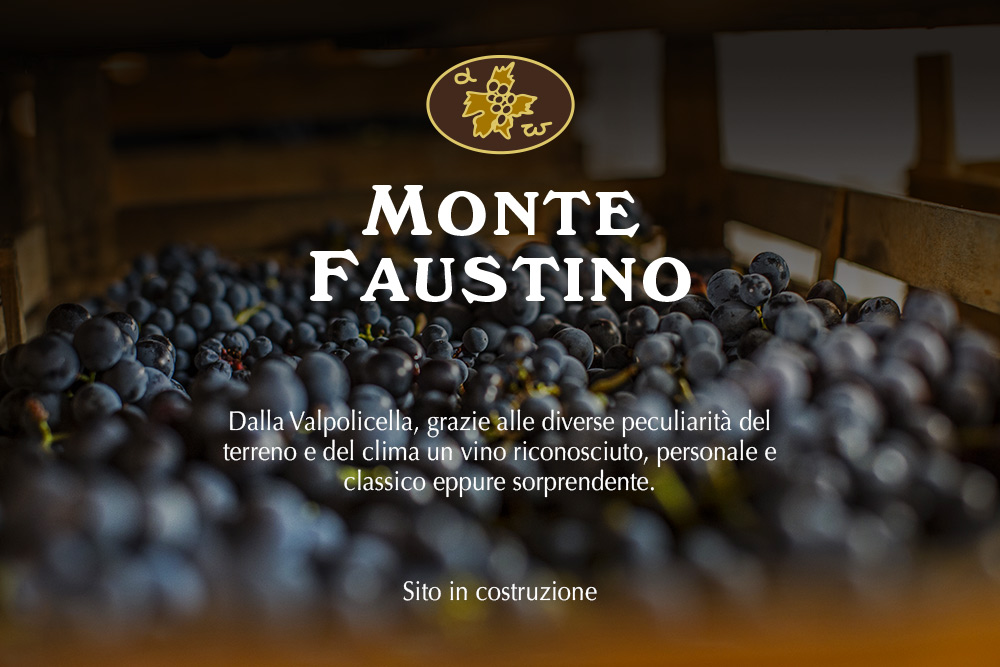 sito in costruzione monte faustino - cantina della Valpolicella